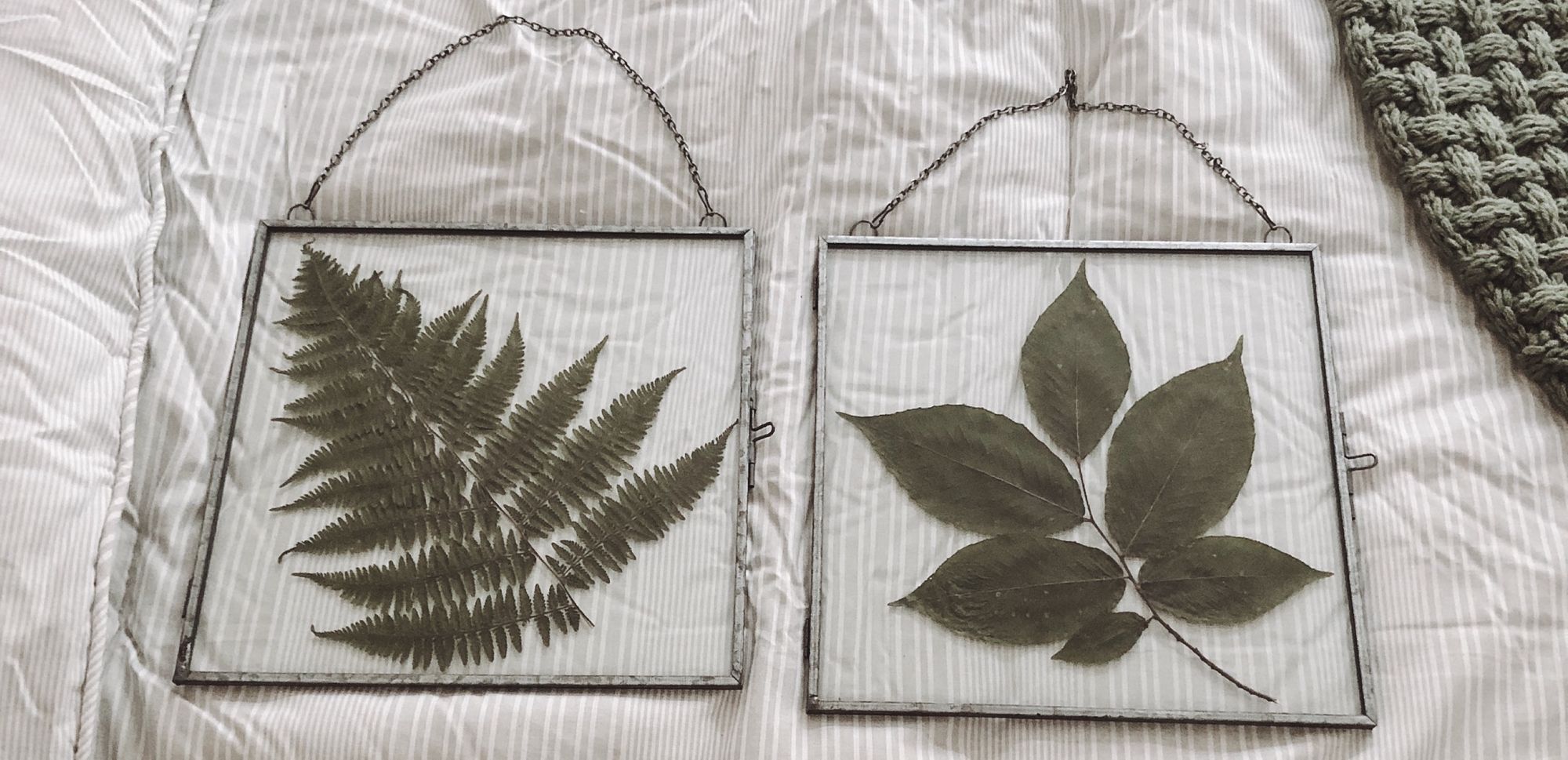 Hanging Leaf Frames